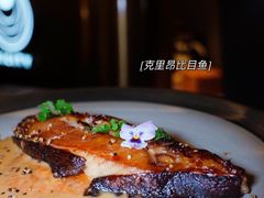 -Hi City·城市之巅