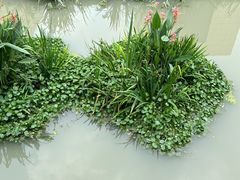 -蒙特利亲子乐园