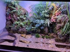 -上海海洋水族馆