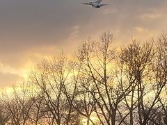 -人民防洪胜利纪念塔