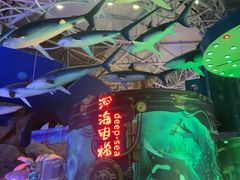 -烟台海昌鲸鲨海洋公园