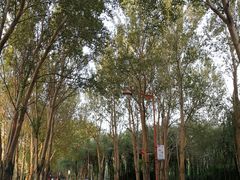 景点-长春公园(普阳街道)