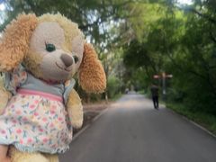 -北陵公园