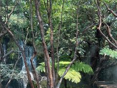 -Chom Cafe and Restaurant