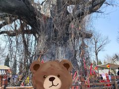 -大槐树寻根祭祖园