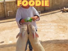 -前小桔亲子创意农场·草莓采摘·露营烧烤