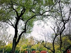 -中山公园