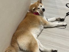 -YCHL Studios健身工作室(市二宫店)