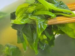 豆苗汤-春阳水饺(香槟广场店)