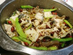 炝锅鱼-万和源炝锅城·活鱼现炝(文艺北路店)