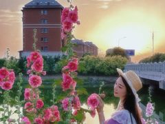 -天津东丽湖风景区