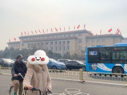 点击看大图 -人民大会堂宴会厅