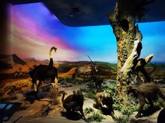 -国家自然博物馆