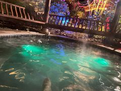 -剑河仰阿莎温泉小镇