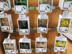 -Sony Store 索尼(来福士店)