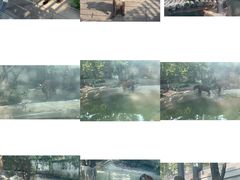 -成都动物园