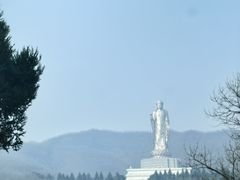 -中原大佛景区