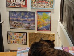 -猫的天空之城概念书店(杭州南宋御街店)