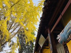 -云龙山