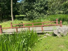 -杭州植物园