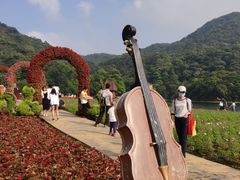 -广州市石门国家森林公园