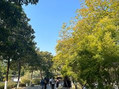 -琅岐红光湖公园