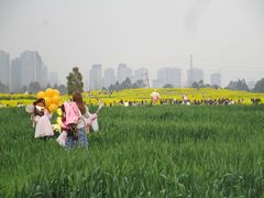 -三圣花乡旅游区