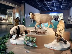 -陕西自然博物馆