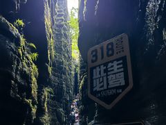 -梭布垭石林景区