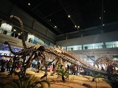 -自贡恐龙博物馆