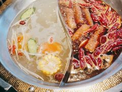 -辣伍鲜毛肚老火锅(元一店)