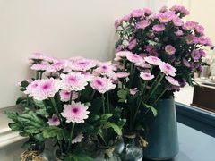 -法桐蛋糕·手作面包(万象城店)