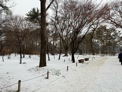 -景福宫