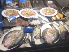 -天天鱼港