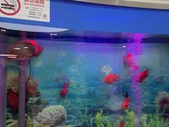 -雅悦齿科(顾村公园店)