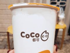 -CoCo都可(光谷天地店)