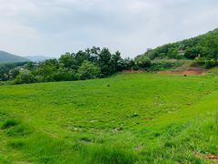 -金石滩蓝莓谷庄园