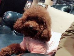 -漫咖啡(沙龙汇店)