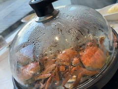 -半岛听涛蒸汽海鲜自助(K11店)