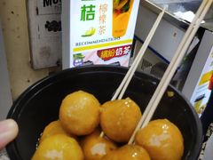 -柠檬车露(卖草地店)