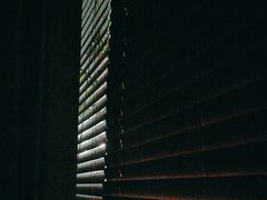 -泰·菩提树下[泰式按摩x精油SPAx肩颈头疗](新景店)