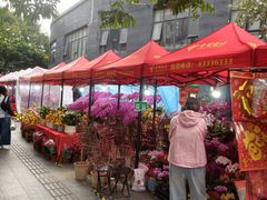 -越秀西湖花市(广州城市广场花卉店)