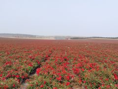 -南京枫彩漫城