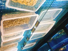 -梦都海鲜酒家(万达广场江桥店)