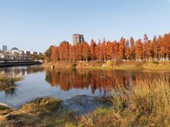 -贵阳市花溪国家城市湿地公园