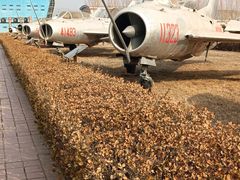 -中国航空博物馆