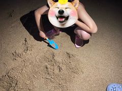 -日照灯塔风景区