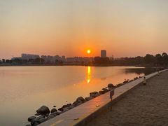 -金沙湖公园