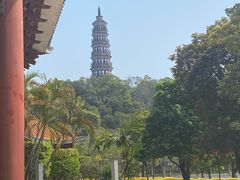 -顺峰山公园