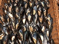 -星伦多海鲜自助餐厅(万达百货店)